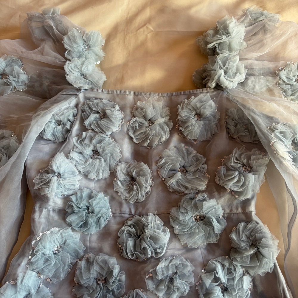 LOVESHACKFANCY- Wells Appliquéd Organza Mini Dress In Blue Size 0 Sheer Sleeve - Picture 3 of 9